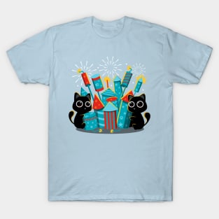Fireworks Day T-Shirt